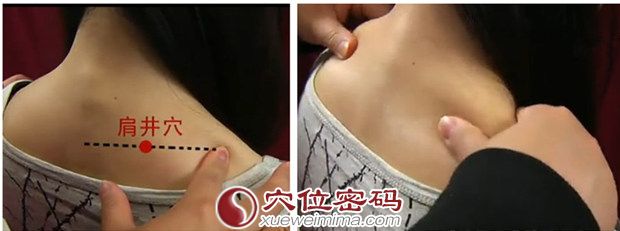 肩井穴位位置图