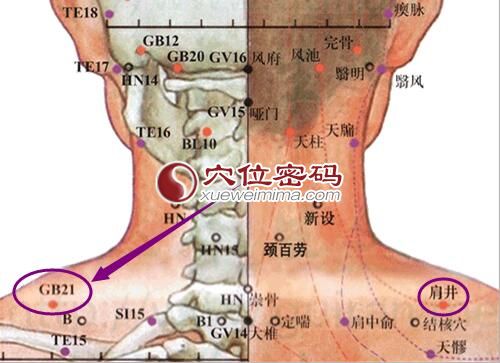 肩井穴的准确位置图