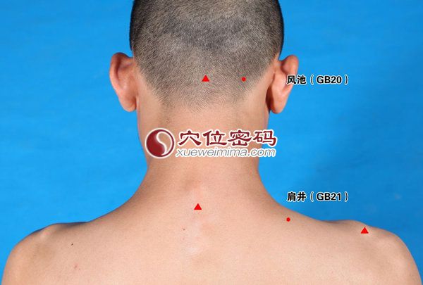 肩井穴位图
