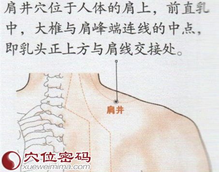 肩井穴的位置图