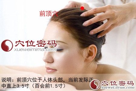 前顶穴的位置图