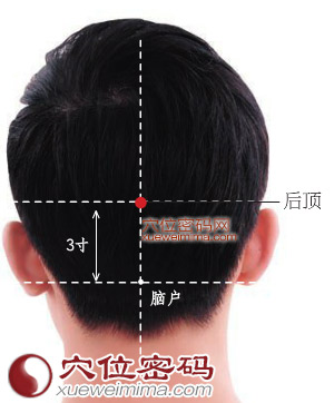 后顶穴的准确位置图