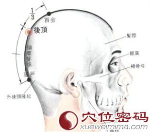 后顶穴的位置解剖分析图