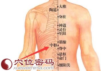 中枢穴位位置图