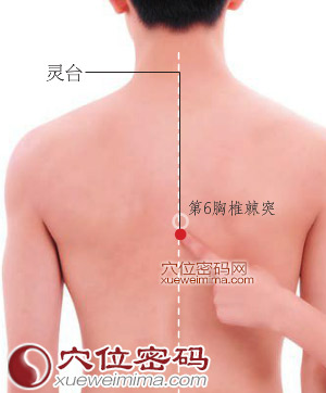 灵台穴的准确位置图