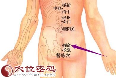 腰俞穴的位置