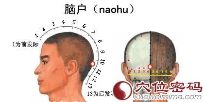 脑户穴的准确位置图
