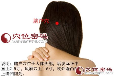 脑户穴位图