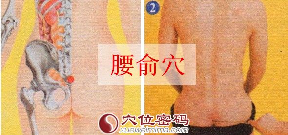 腰俞穴的准确位置图