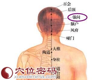 脑户穴位图
