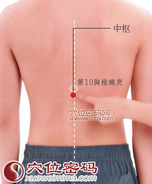 中枢穴的准确位置图