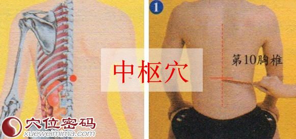 中枢穴的准确位置图