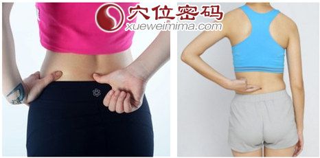 腰阳关穴的位置