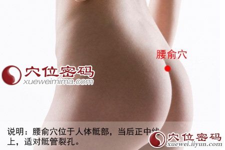 腰俞穴的位置