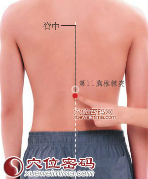 脊中穴的准确位置图