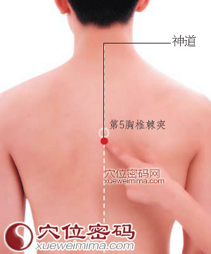 神道穴的准确位置图