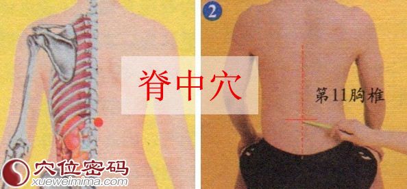 脊中穴的准确位置图