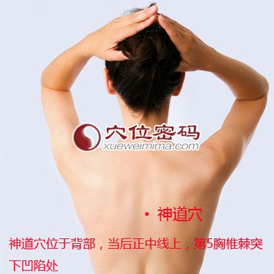 神道穴的位置图