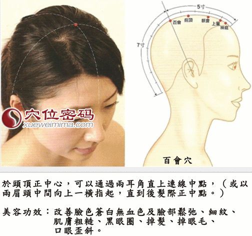 百会穴的准确位置图