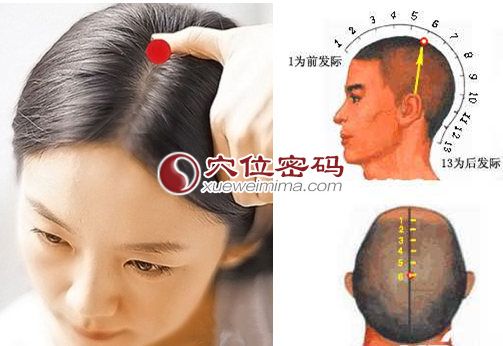 百会穴的位置