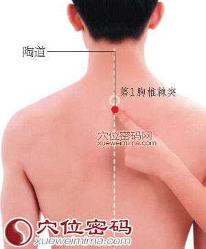 陶道穴的准确位置图