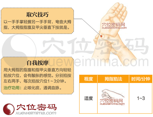 太渊穴的准确位置图