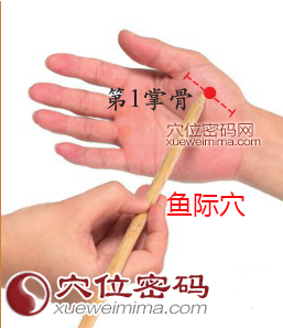 鱼际穴的准确位置