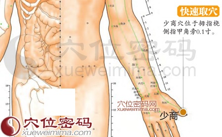 少商穴的准确位置图