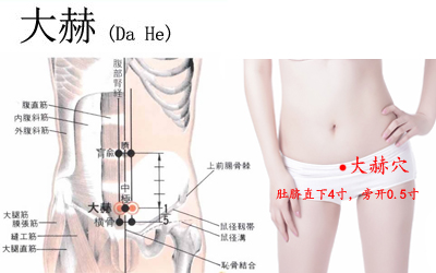 大赫穴位位置图