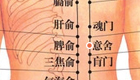图解意舍穴位的作用与好处