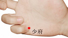 少府穴位位置图
