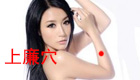 上廉穴位位置图