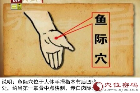 鱼际穴的准确位置图
