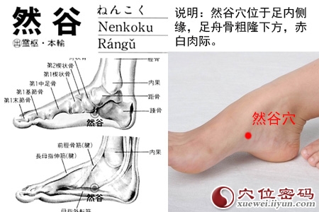 然谷穴位位置图