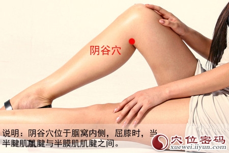 阴谷穴位位置图