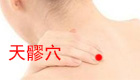 图解天髎穴位位置图