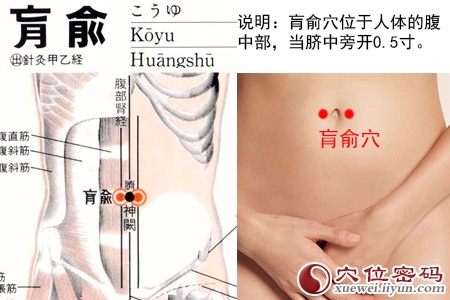 肓俞穴位位置图