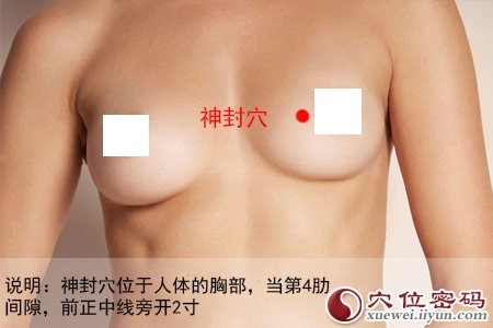 神封穴位位置图