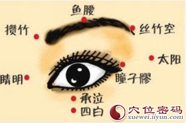 鱼腰穴的准确位置图