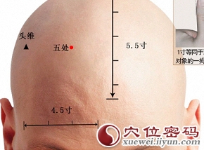 五处穴准确位置图