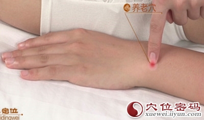 养老穴的准确位置图