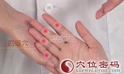 四缝穴的准确位置图