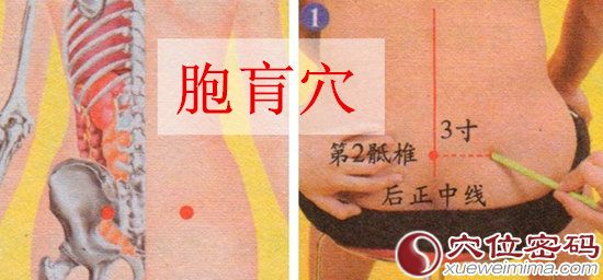 胞肓穴的准确位置图