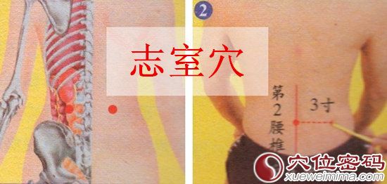 志室穴的准确位置图