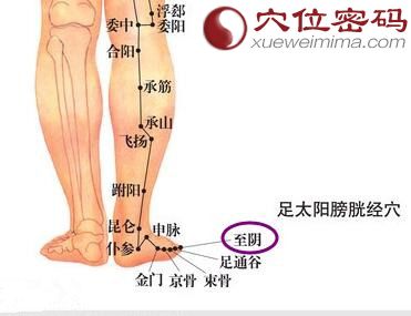 至阴穴