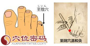 艾灸至阴穴及其位置图