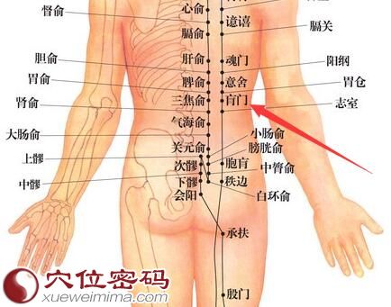 肓门穴的准确位置图
