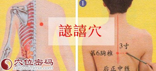 譩譆穴位图及取穴示范图