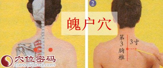 魄户穴的位置图