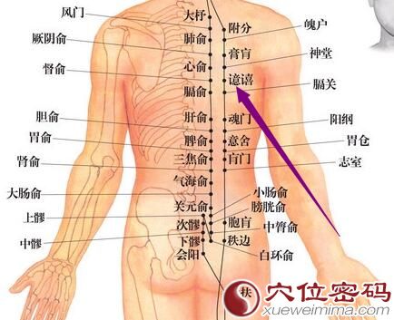 譩譆穴